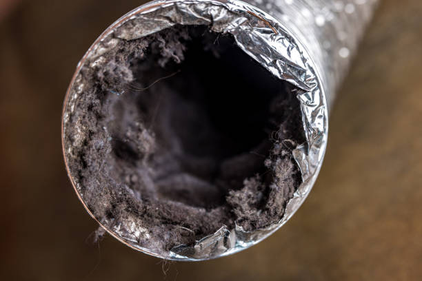 Best Best Air Duct Cleaning Near Me  in Middleburg Heights, OH