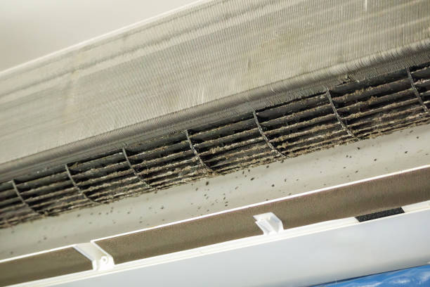Best HVAC Maintenance and Cleaning  in Middleburg Heights, OH